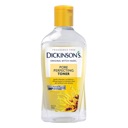Dickinson's Original Witch Hazel Pore Perfecting Toner image 1