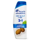 Dry Scalp Care 2-IN-1